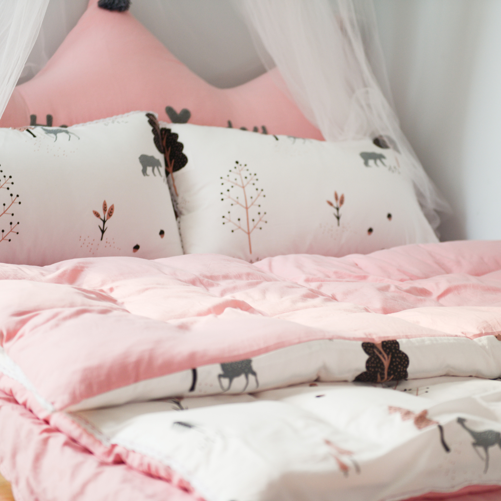 Bedsheet with 2 Pillow Covers